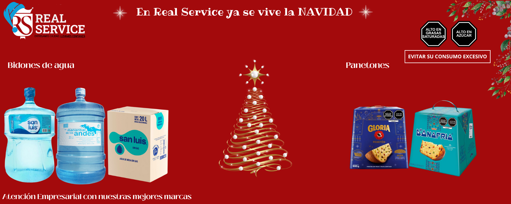 Nuestros Aliados (1)