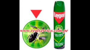 Insecticida Baygon verde en spray 400 ml